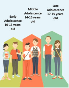 Humans are sexually dimorphic i.e. they have two distinct sexes- male and female. This dimorphism is seen in humans as favour of sexual reproduction which is the main reason for the diversity among humans.