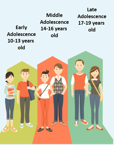 Sexual Dimorphism Adolescence And Secondary Sexual Characteristics In Sexual Dimorphism Adolescence And Secondary Sexual Characteristics In