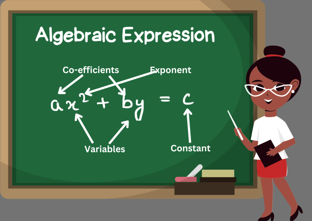 terms-of-an-expression-variables-coefficient-constants-88guru