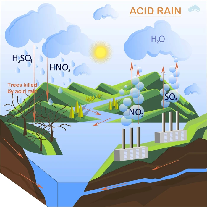 Acid rain results when sulphur dioxide (SO2) and nitrogen oxides (NOX) are emitted into the atmosphere and transported by wind and air currents.