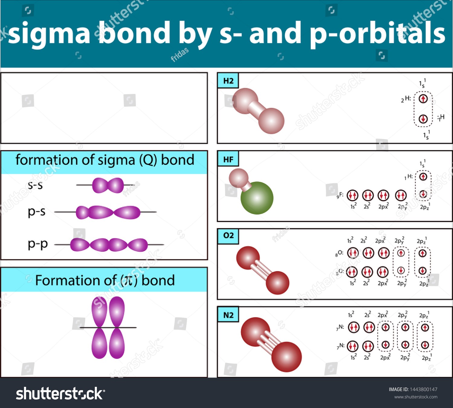 Overlapping of orbitals to form sigma and pi bonds