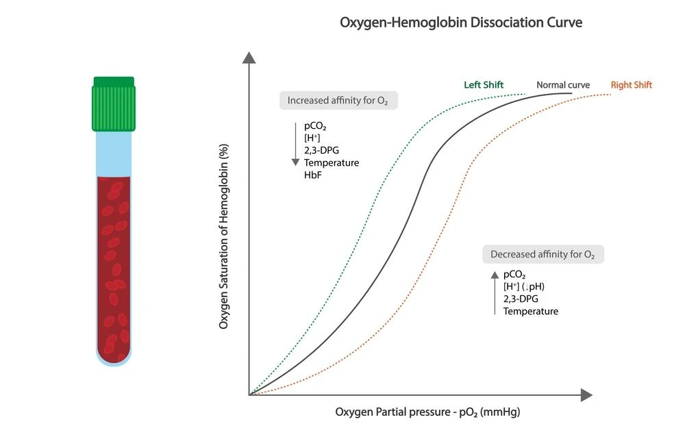 Oxygen dissociation curve