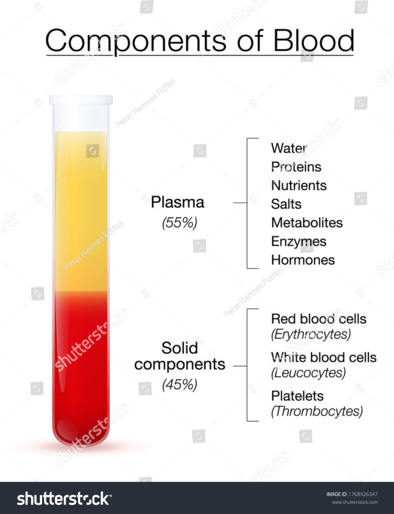 Plasma VS Serum - 88Guru