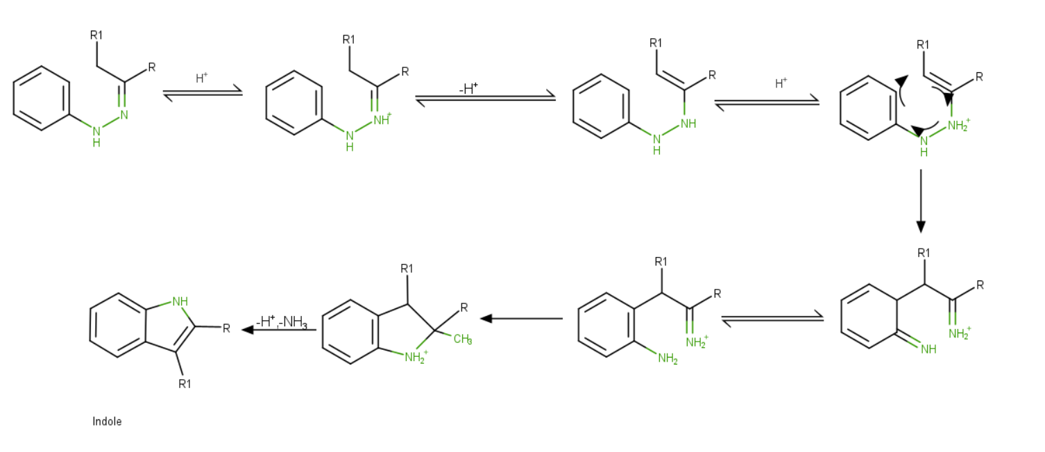 fischer indole synthesis experiment