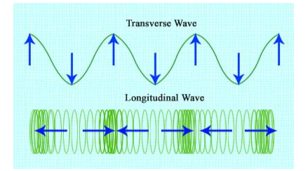 The difference between the vibrations of transverse and longitudinal waves.