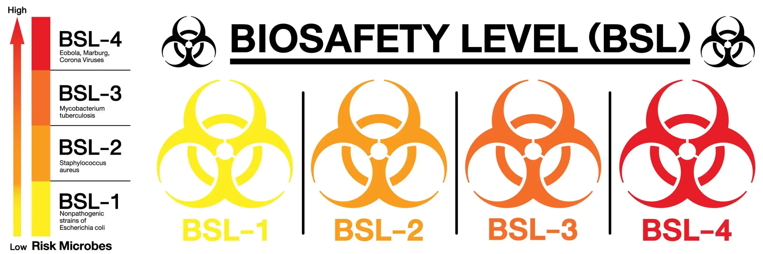 Biosafety Issues - 88Guru