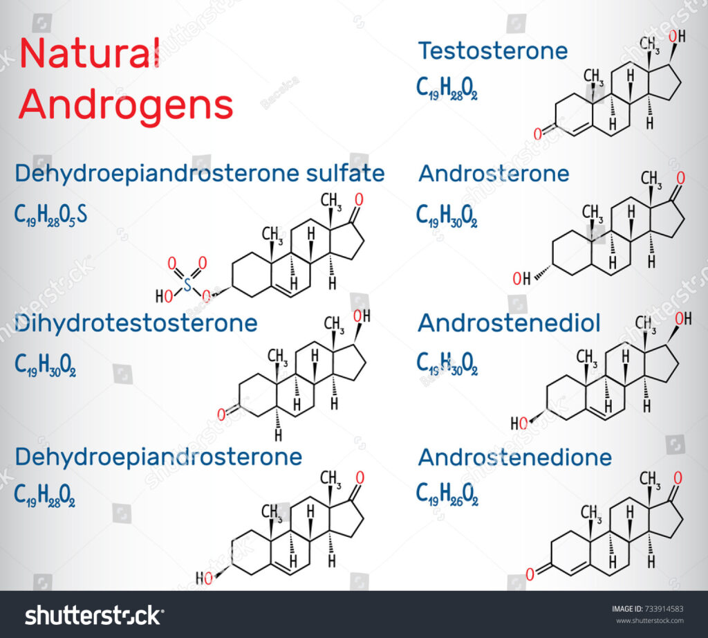 Androgen Hormone Functions Effects And Deficiency 88Guru Androgen Hormone Functions Effects And Deficiency 88Guru